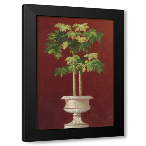 Potted Palm in Red I Black Modern Wood Framed Art Print with Double Matting by Welby