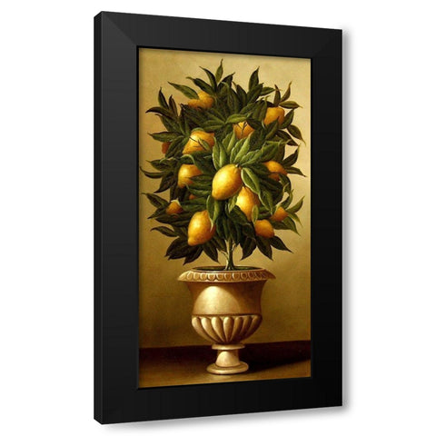 Lemon Topiary  in Marble Urn Black Modern Wood Framed Art Print by Welby