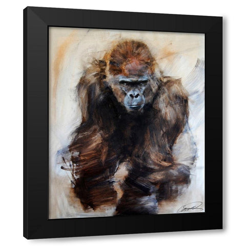 Gorilla Glare Black Modern Wood Framed Art Print with Double Matting by Campbell, Robert