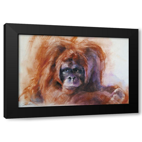 The Daydreamer Orangutan Black Modern Wood Framed Art Print with Double Matting by Campbell, Robert