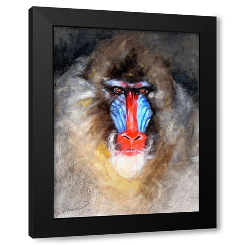 Blushing Mandrill Black Modern Wood Framed Art Print by Campbell, Robert