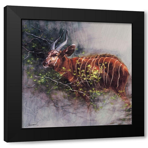 Bongo in the Brush Black Modern Wood Framed Art Print with Double Matting by Campbell, Robert