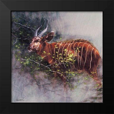 Bongo in the Brush Black Modern Wood Framed Art Print by Campbell, Robert
