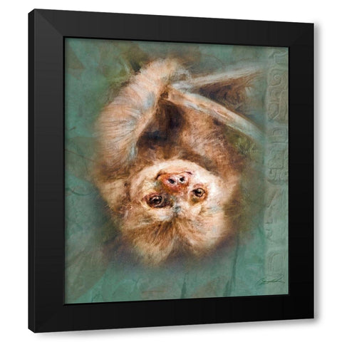 Two-Toed Sloth Black Modern Wood Framed Art Print with Double Matting by Campbell, Robert