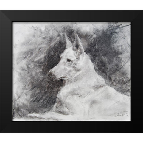 White Shepherd in Grey Black Modern Wood Framed Art Print by Campbell, Robert