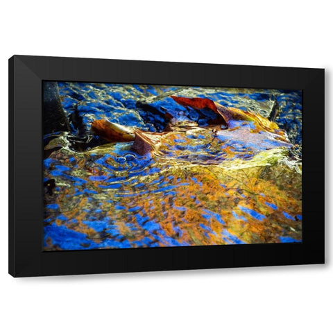 Anagha Black Modern Wood Framed Art Print by Cooper, Helena