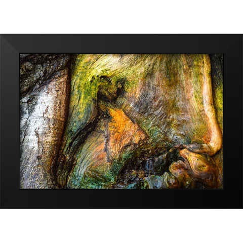 Dionysus Black Modern Wood Framed Art Print by Cooper, Helena