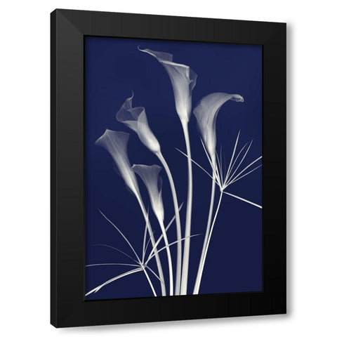 Elongated Elegance in Indigo Black Modern Wood Framed Art Print with Double Matting by Robertson, Leda