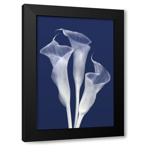 Sentinels of Light in Indigo Black Modern Wood Framed Art Print by Robertson, Leda