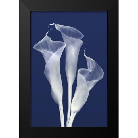 Sentinels of Light in Indigo Black Modern Wood Framed Art Print by Robertson, Leda