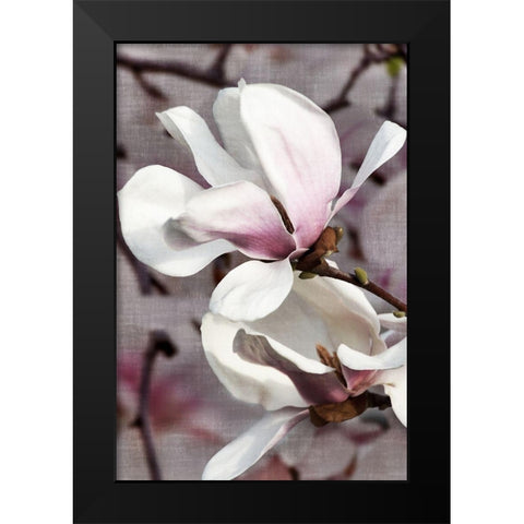 Petal Heaven II Black Modern Wood Framed Art Print by Robertson, Leda