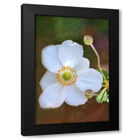 Playful Petals II Black Modern Wood Framed Art Print by Robertson, Leda