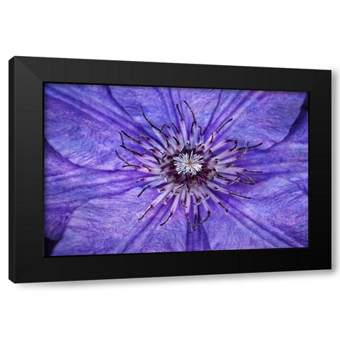 Inner Workings I Black Modern Wood Framed Art Print by Robertson, Leda