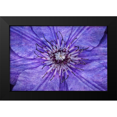 Inner Workings I Black Modern Wood Framed Art Print by Robertson, Leda