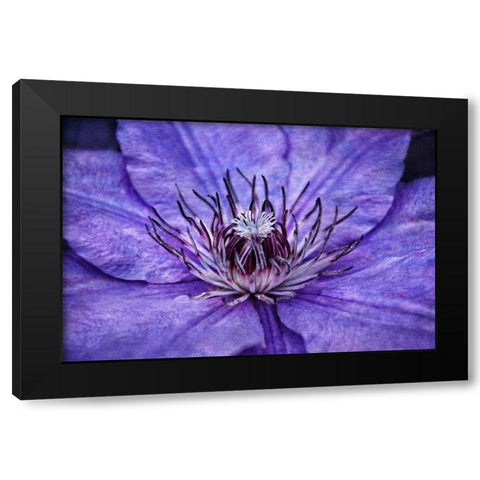 Inner Workings II Black Modern Wood Framed Art Print by Robertson, Leda