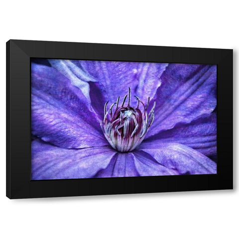 Intimate Unfolding Black Modern Wood Framed Art Print by Robertson, Leda