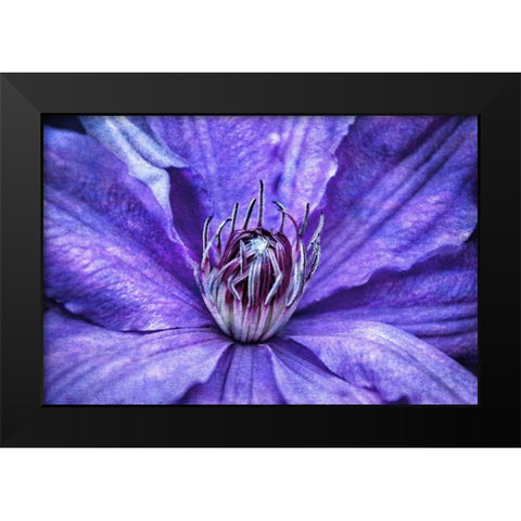 Intimate Unfolding Black Modern Wood Framed Art Print by Robertson, Leda