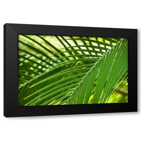 Leaf Abstraction II Black Modern Wood Framed Art Print by Robertson, Leda