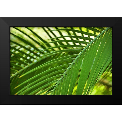 Leaf Abstraction II Black Modern Wood Framed Art Print by Robertson, Leda