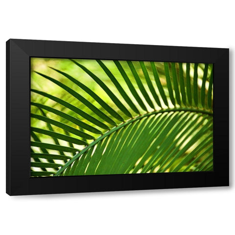 Leaf Abstraction IV Black Modern Wood Framed Art Print with Double Matting by Robertson, Leda