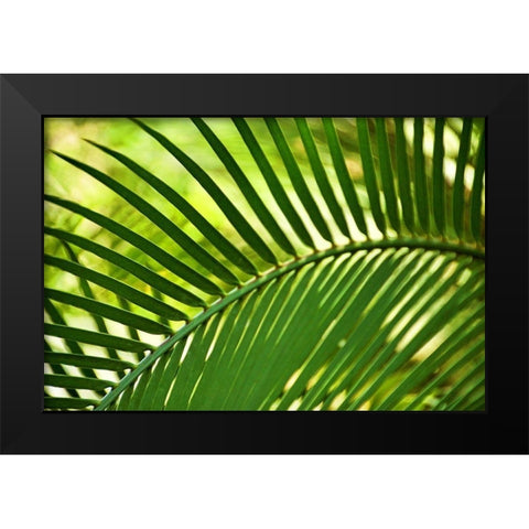 Leaf Abstraction IV Black Modern Wood Framed Art Print by Robertson, Leda