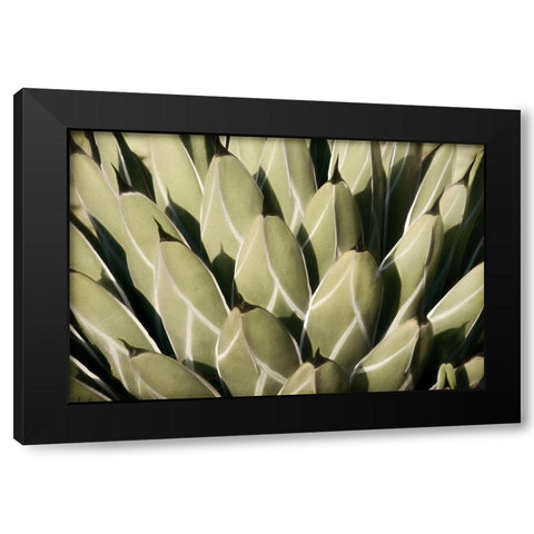 Geometric Growth Black Modern Wood Framed Art Print by Robertson, Leda