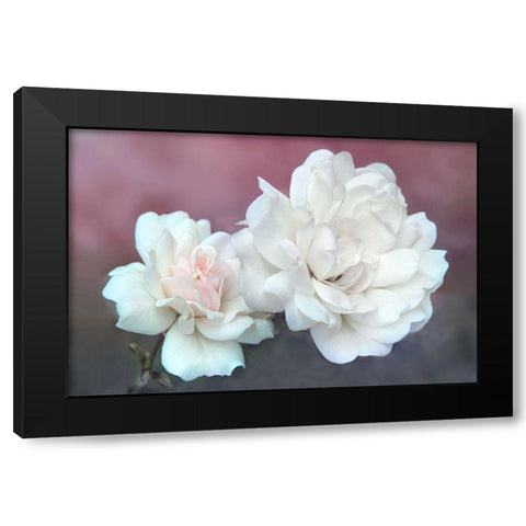 Wild About Roses Black Modern Wood Framed Art Print by Robertson, Leda