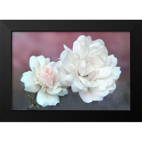 Wild About Roses Black Modern Wood Framed Art Print by Robertson, Leda