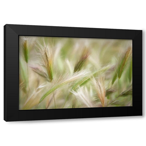 Spring Delight Black Modern Wood Framed Art Print with Double Matting by Robertson, Leda