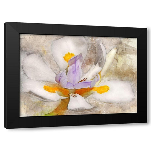 Blooming into Abstraction Black Modern Wood Framed Art Print by Robertson, Leda