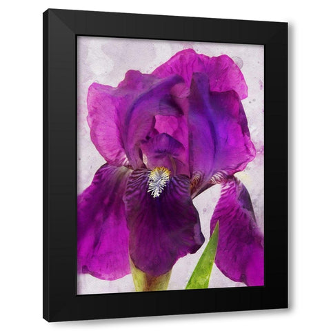 Natures Disarray Black Modern Wood Framed Art Print by Robertson, Leda