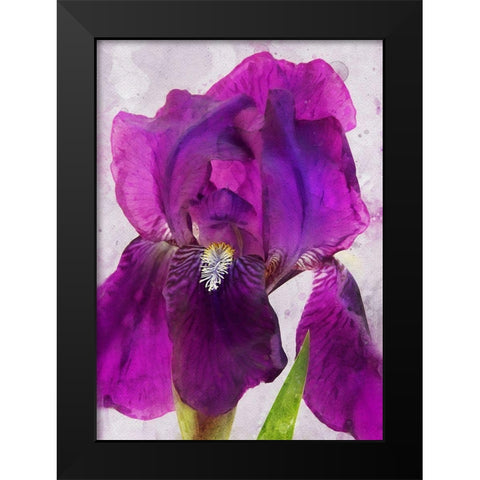 Natures Disarray Black Modern Wood Framed Art Print by Robertson, Leda