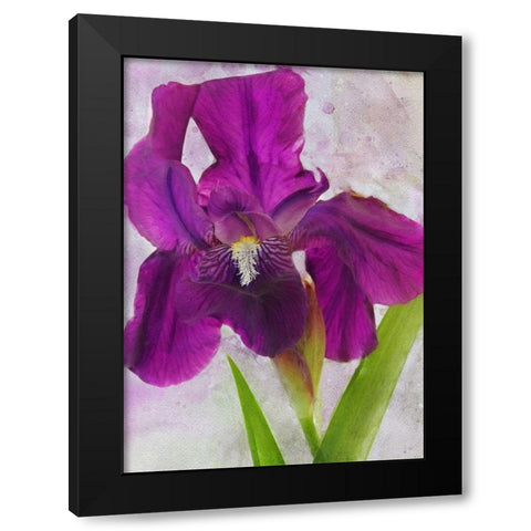 Easy Beauty Black Modern Wood Framed Art Print by Robertson, Leda