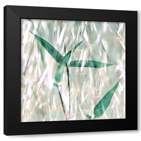 Flourish X Black Modern Wood Framed Art Print with Double Matting by Aryai, Sia