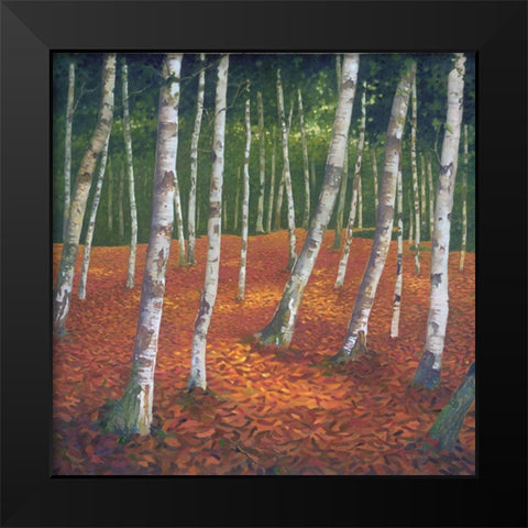 Sunshine and Shadow Black Modern Wood Framed Art Print by Reynolds, Graham