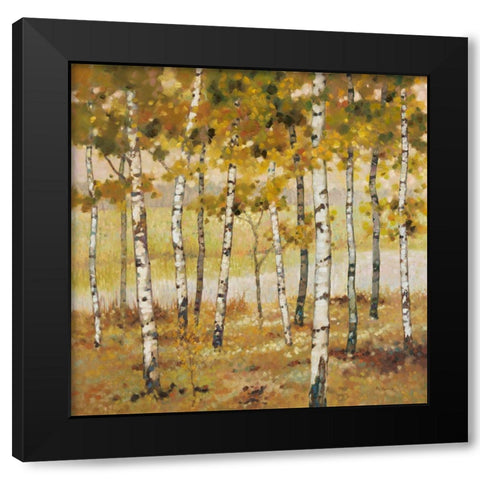 Brookside Black Modern Wood Framed Art Print with Double Matting by Reynolds, Graham
