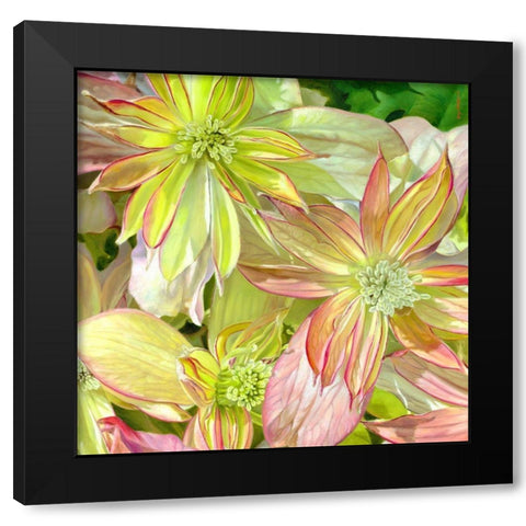 Come Fly With Me Black Modern Wood Framed Art Print by Montana, Enzo