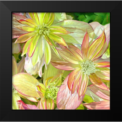 Come Fly With Me Black Modern Wood Framed Art Print by Montana, Enzo