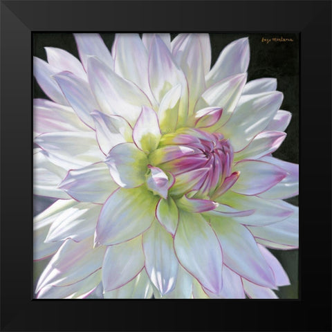 Here Comes The Sun Black Modern Wood Framed Art Print by Montana, Enzo