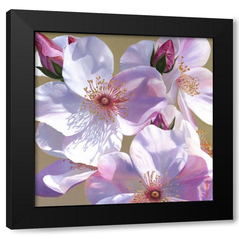 Fascination Black Modern Wood Framed Art Print with Double Matting by Montana, Enzo