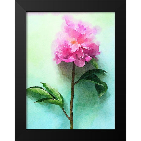 Pink Watercolor Peony I Black Modern Wood Framed Art Print by Orlov, Irena