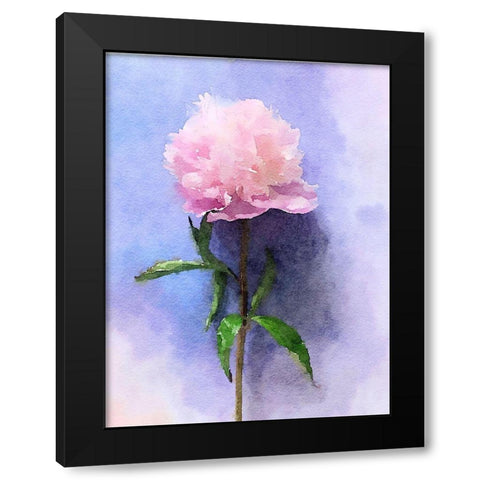 Pink Watercolor Peony II Black Modern Wood Framed Art Print with Double Matting by Orlov, Irena
