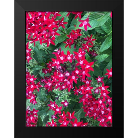 Fiery Red Black Modern Wood Framed Art Print by Orlov, Irena