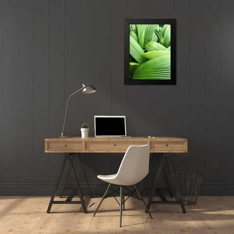 Monster Leaves I Black Modern Wood Framed Art Print by Orlov, Irena