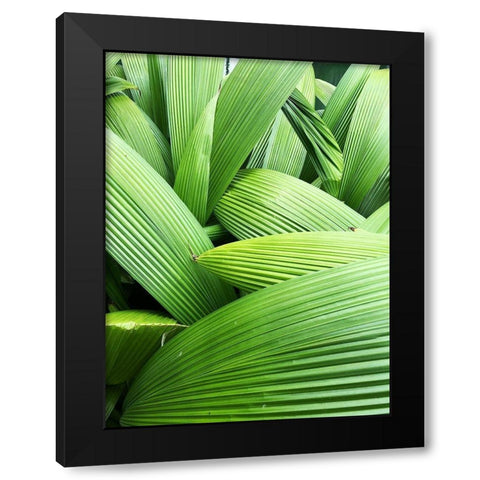 Monster Leaves I Black Modern Wood Framed Art Print with Double Matting by Orlov, Irena