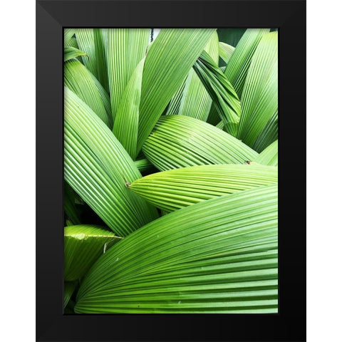 Monster Leaves I Black Modern Wood Framed Art Print by Orlov, Irena