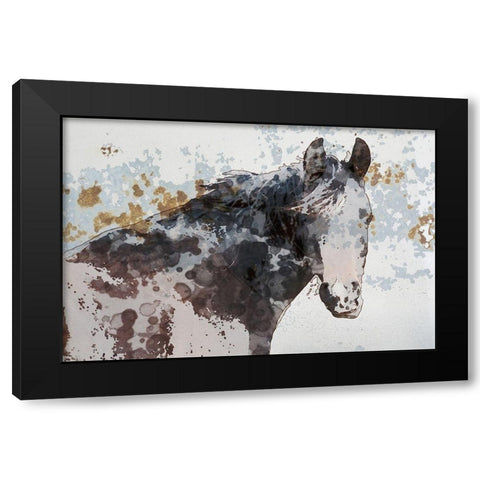 American Paint Horse Black Modern Wood Framed Art Print with Double Matting by Orlov, Irena