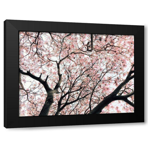 Japanese Motif Black Modern Wood Framed Art Print with Double Matting by Orlov, Irena