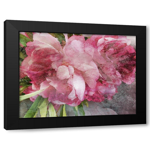 A Rainbow of Flavors I Black Modern Wood Framed Art Print with Double Matting by Orlov, Irena