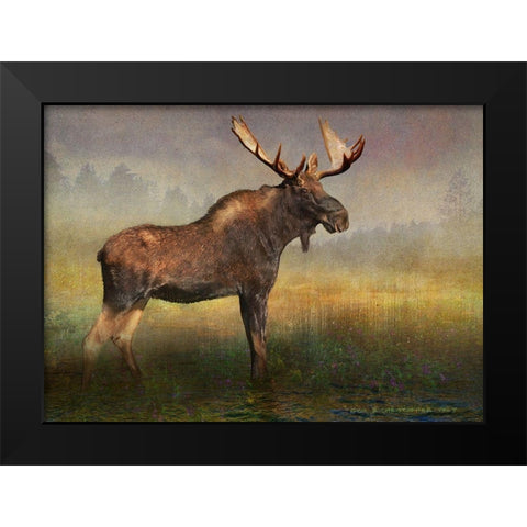 Moose in Fog and Flowers Black Modern Wood Framed Art Print by Vest, Christopher
